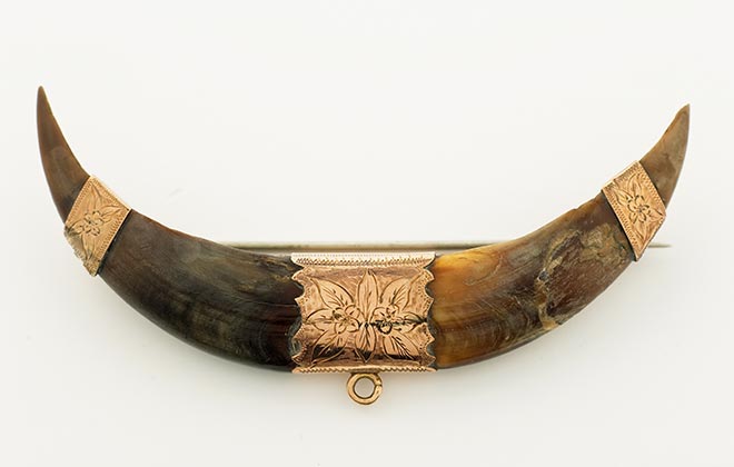 Kea beak brooch