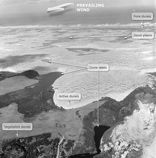 Dune land features