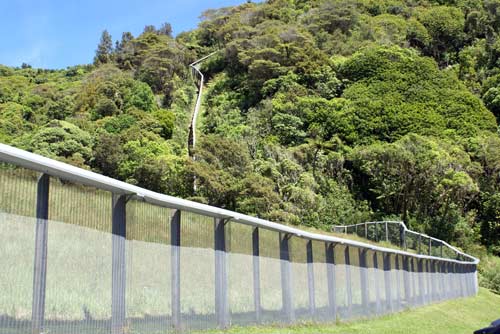 Predator-proof fence
