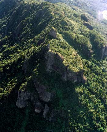 Kaimai Range