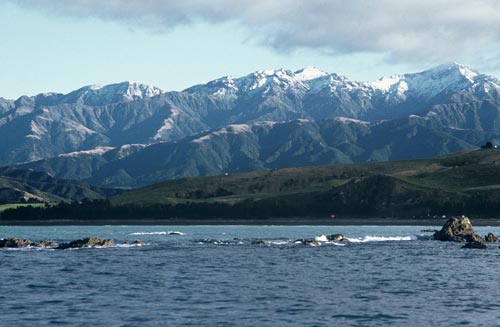 Seaward Kaikōura range