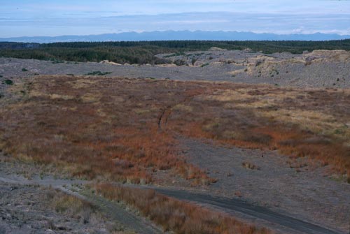 Ephemeral wetland, Tangimoana 