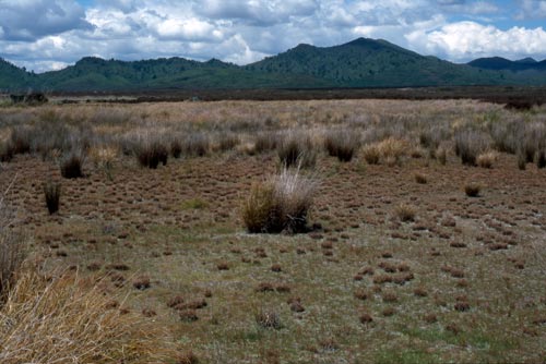 Ephemeral wetland, Volcanic Plateau 