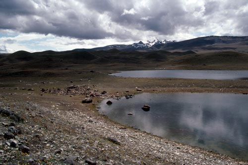 Ephemeral wetland, Lake Tekapo 