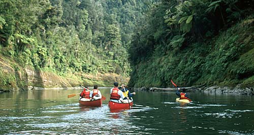 Canoeing on the Whanganui River