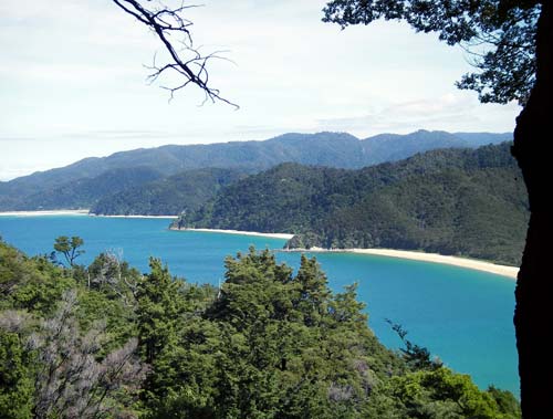 Abel Tasman National Park 
