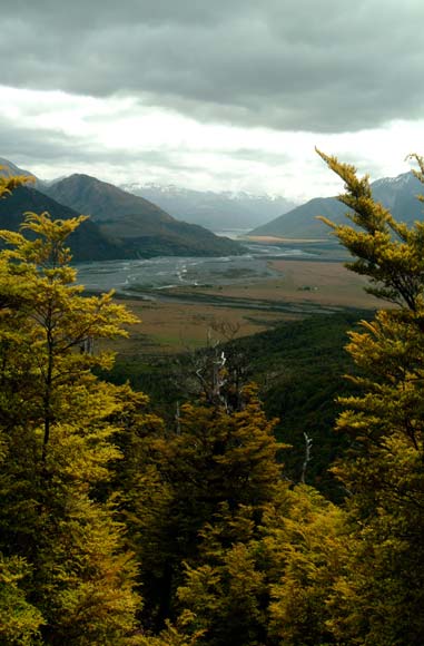 Waimakariri River