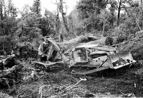 Bulldoze on muddy ground in a forest