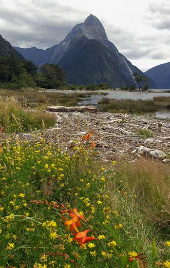 Mitre Peak 