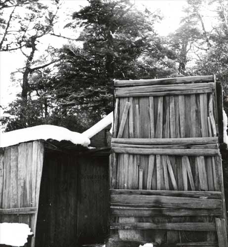 Rough-built wooden structure in the bush