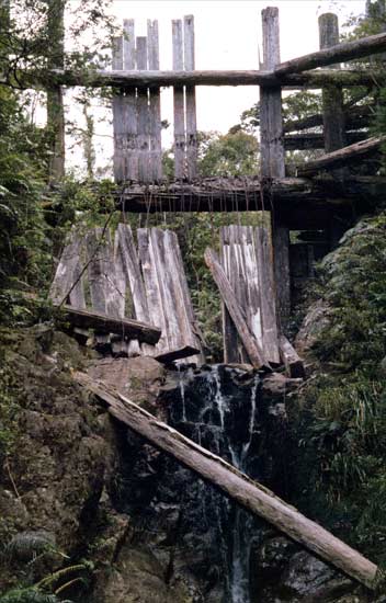 Remains of wooden dam