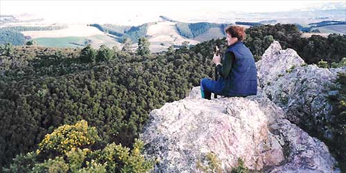 Woman sitting on a rock overlooking a bushy valley below