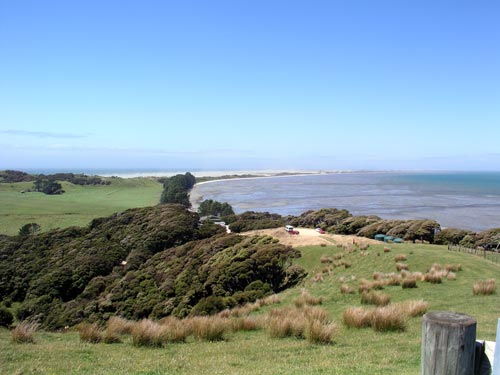 Mānuka shrubland, Farewell Spit