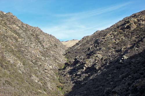Grey scrub, Central Otago