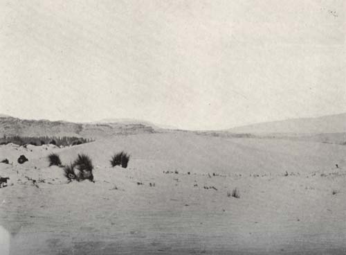 Inland dunes