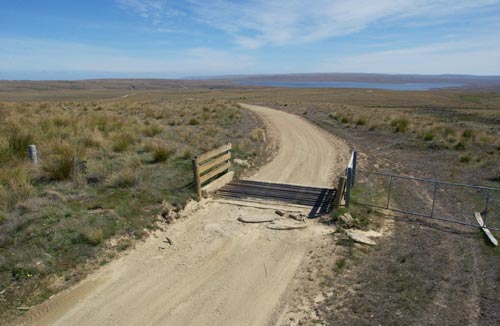 Cattle stop