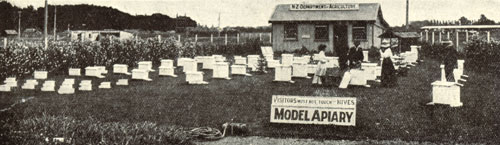 Model apiary, Christchurch International Exhibition, 1906–7
