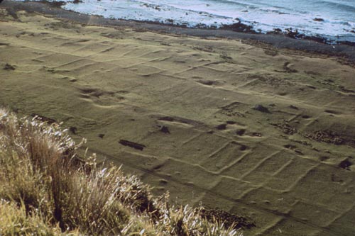 Borrow pits, Wairarapa