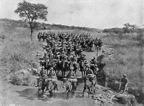 Horses in the South African War