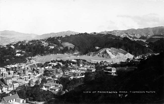 Anderson Park, Wellington