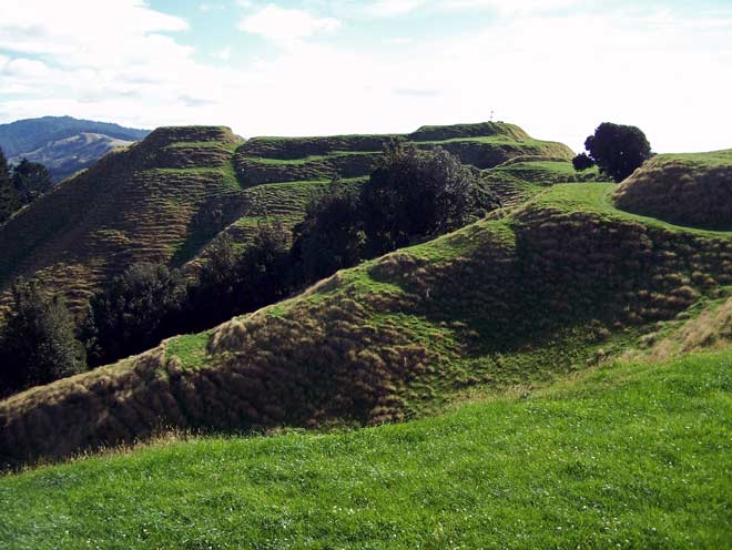 Papamoa Hills Regional Park