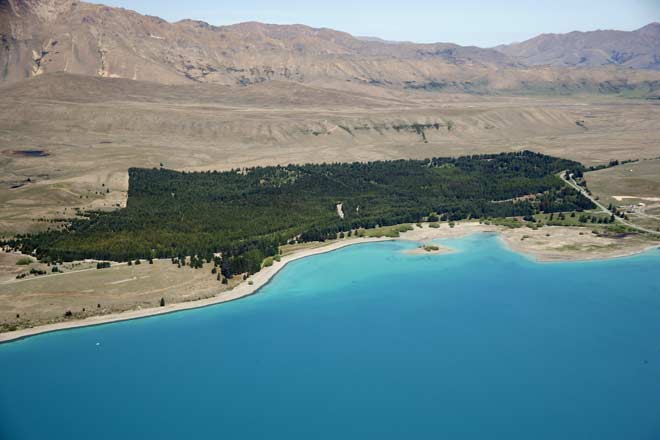 Lake Tekapo Regional Park