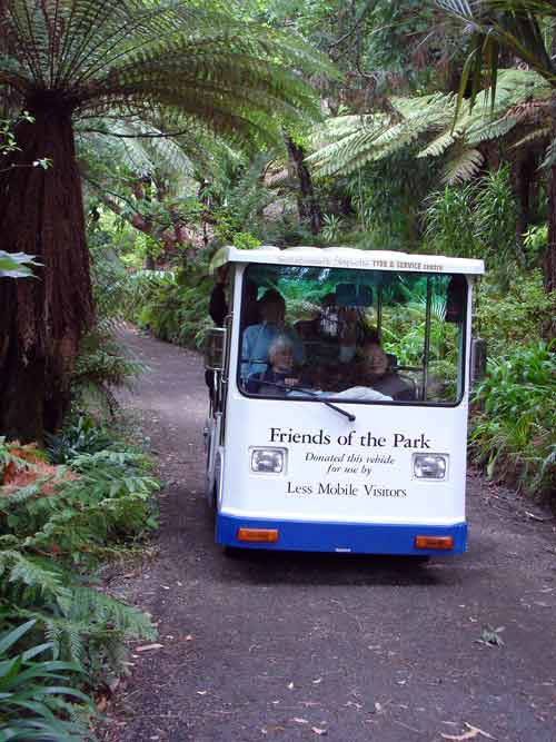 Friends of Pukekura Park buggy service