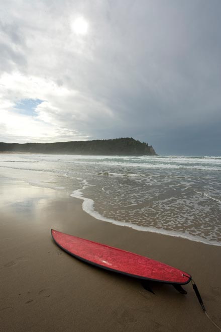 Flax surfboard