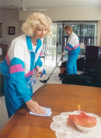 Meticulous Maids