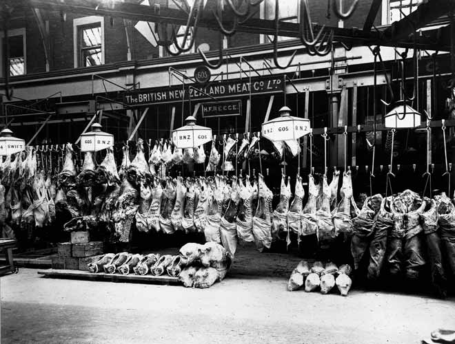 Meat for export