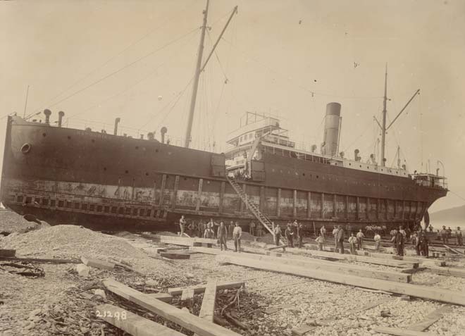 Stranded <em>Mapourika</em>