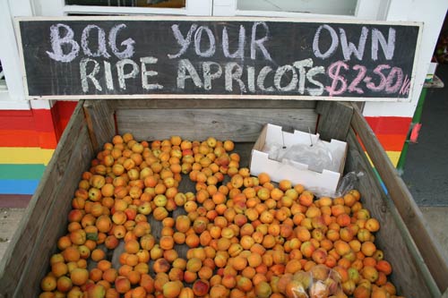 Bag your own apricots