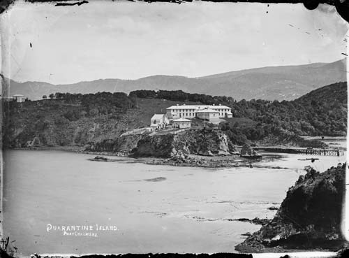Quarantine Island, Otago Harbour