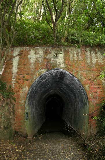 Tunnel Hill, Ōwaka