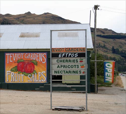 Fruit for sale