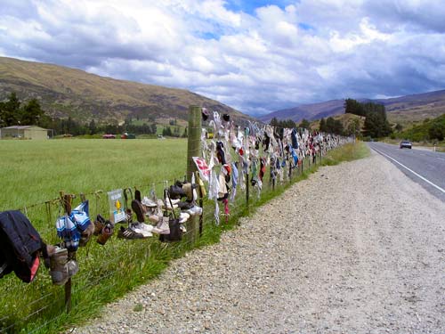 Bra fence near Cardrona