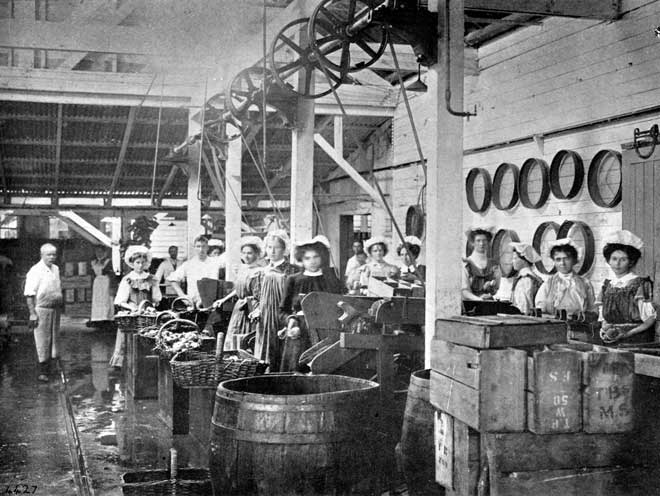 The Frimley canning factory