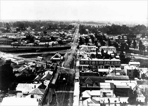 Christchurch market