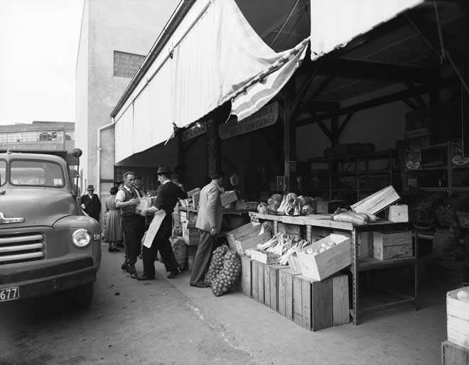 Wellington municipal market