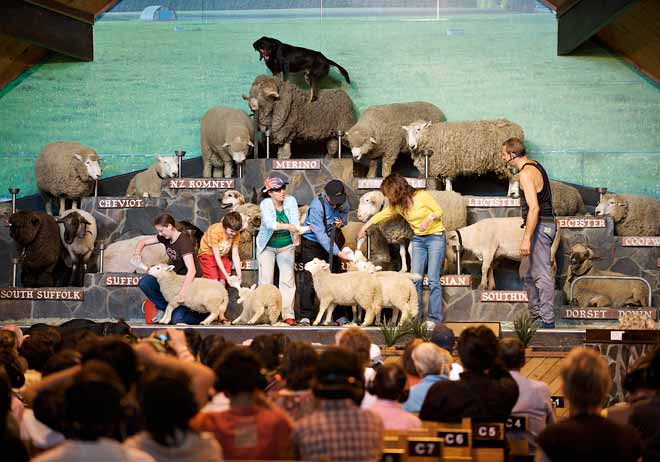 Agrodome