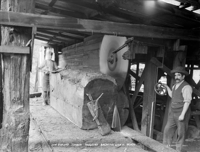 Milling a kauri log