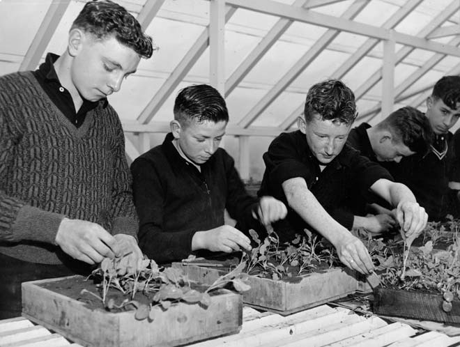 School gardening