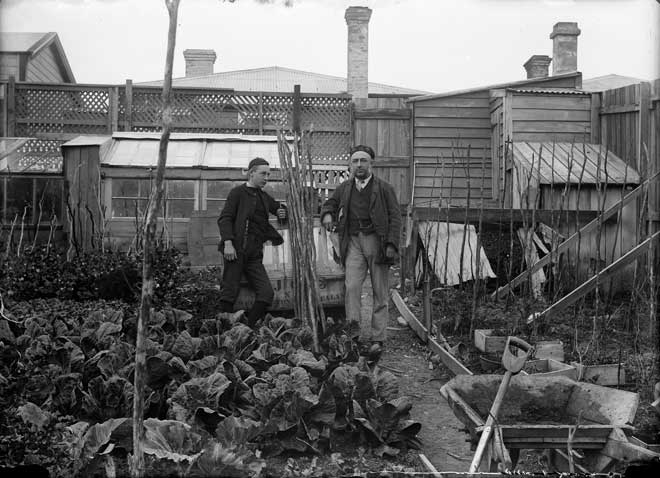 Garden produce