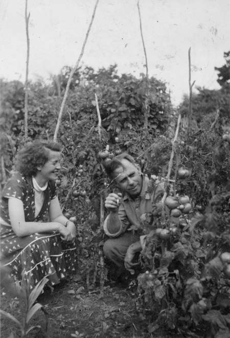 Frank Sargeson’s garden