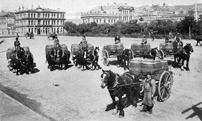Beer carts