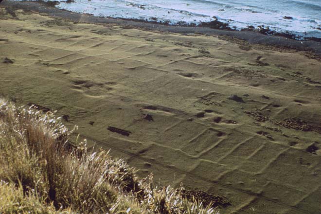 Ōkoropunga horticultural areas