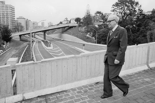 Denis McGrath bridge, Wellington