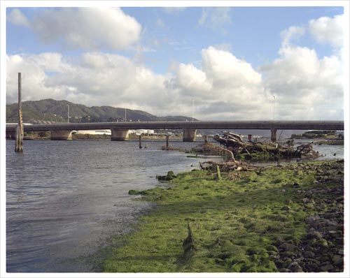 Hutt estuary bridge