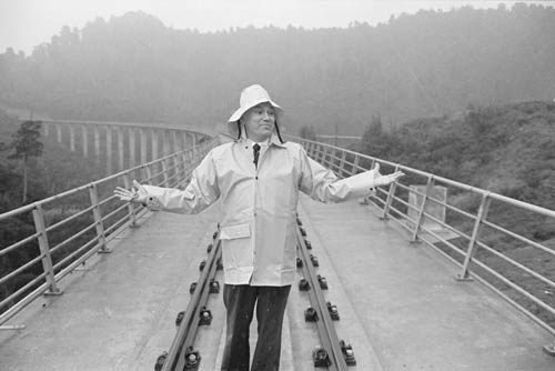 The new Hāpuawhenua viaduct