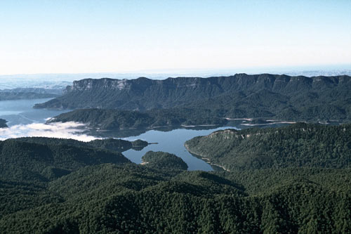 Native vegetation, Lake Waikaremoana